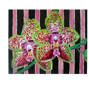 Twin Orchids