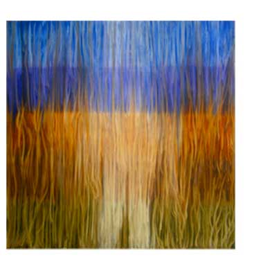 Excuse Me While I Disappear